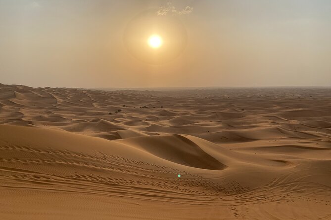 Dubai Desert Safari, Camel, Live BBQ & Shows (Private 4x4 Car) - Al Aweer camp: camel ride, henna, and drinks