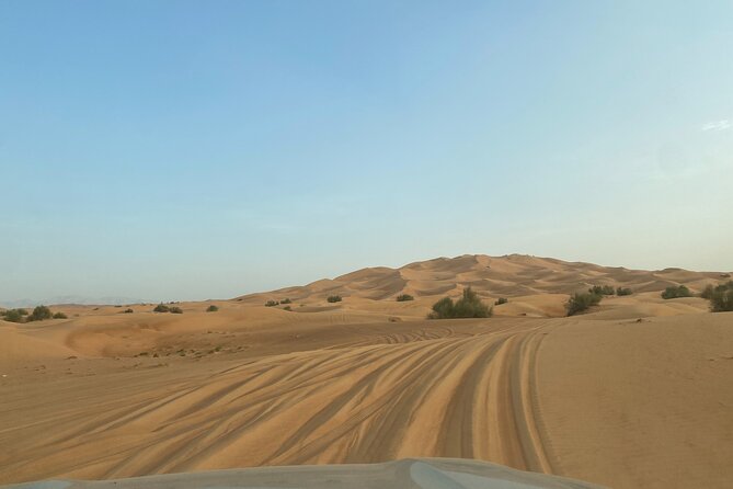 Dubai Desert Safari, Camel, Live BBQ & Shows (Private 4x4 Car) - Timing, pickup, and the return to Dubai