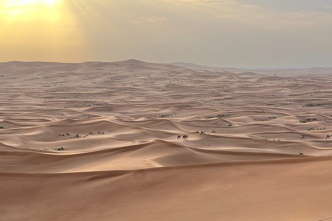 Dubai Desert Safari, Camel, Live BBQ & Shows (Private 4x4 Car) - From Dubai streets to Al Madam’s red dunes