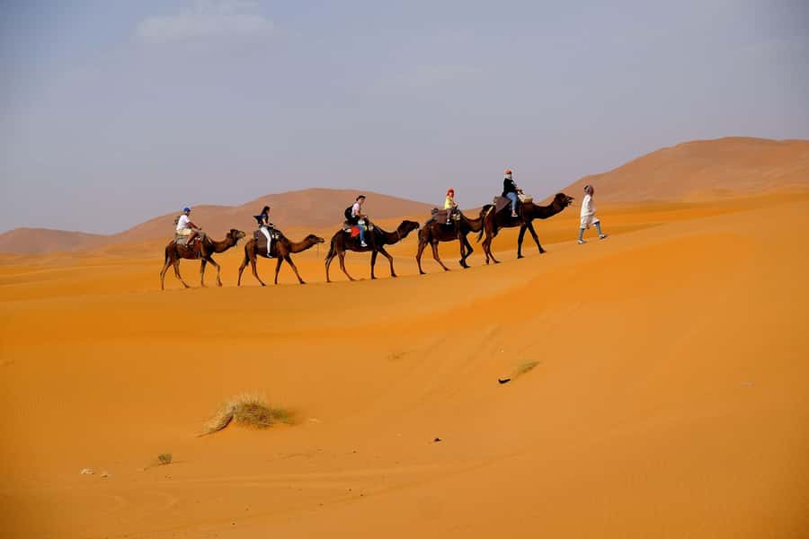 Dubai: Desert Safari, Camel Ride, and BBQ Dinner - Sunset photo time on the dunes
