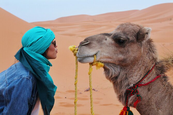 Dubai Desert Safari Camel Ride Sand Boarding BBQ Dinner - Camp activities that fill the early evening