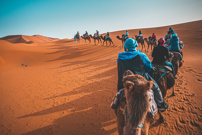 Dubai Desert Safari Camel Ride Sand Boarding BBQ Dinner - Camel riding, sandboarding, and a first look at camp