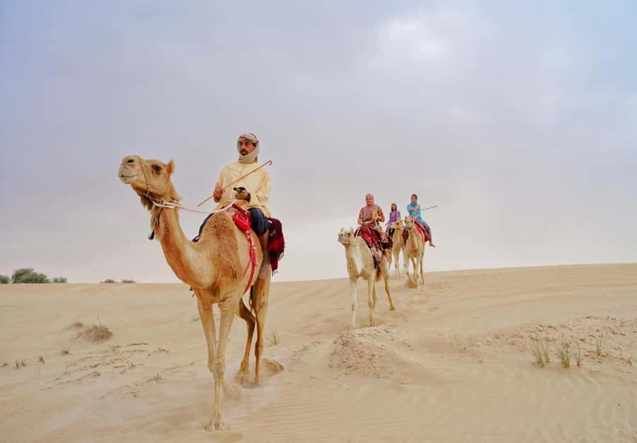 Dubai: Desert Safari, Camel Ride, Sandboard & Buffet Dinner - Quick Takeaways
