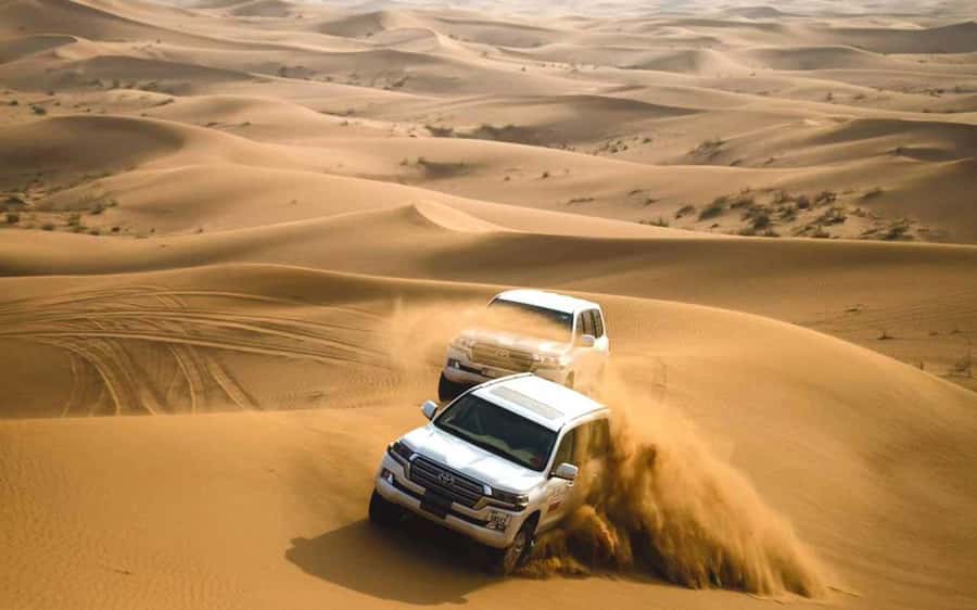 Dubai: Desert Safari, Camel Ride, Sandboarding, Quad Bike - Sandboarding on the Red Dunes