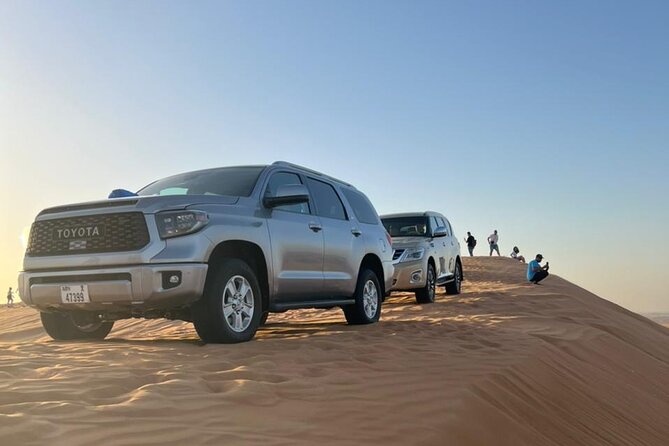 Dubai Desert Safari, Camel Ride, Shisha, Henna, Live BBQ & Shows - Group size, timing, and practical comfort