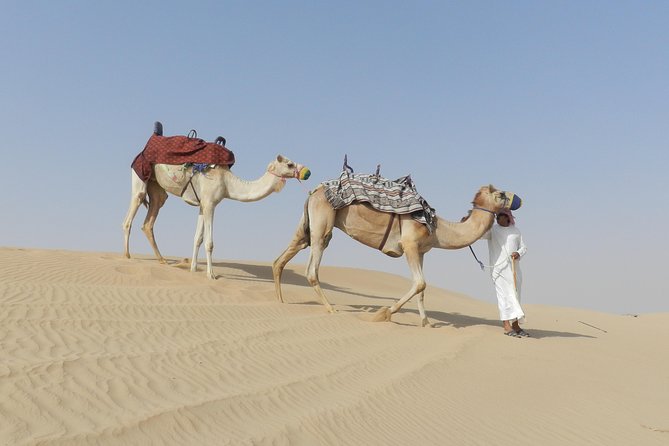 Dubai Desert Safari Dune Bashing, 60min ATV Quad, Camel Ride, BBQ - The people who will enjoy this most