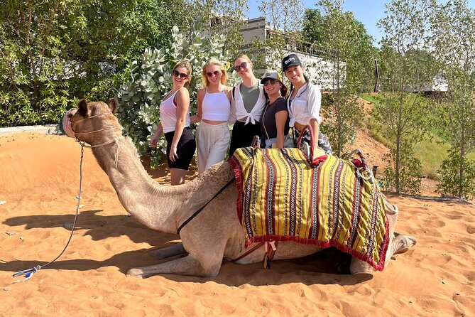 Dubai Desert Safari: Dune Bashing, Camel Ride & BBQ Dinner - What the price includes at $55.82