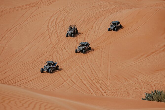 Dubai Desert Safari Dune Bashing, Camel Ride, Sandboarding & BBQ - Camel riding and sandboarding