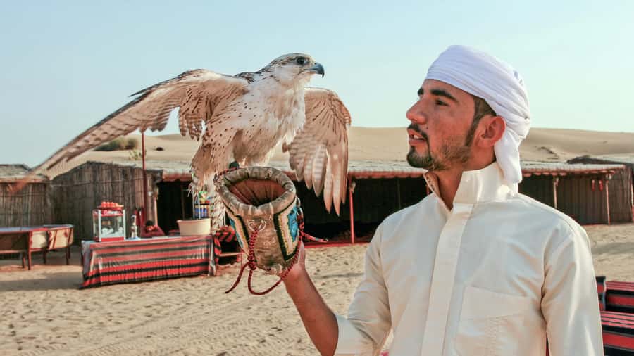 Dubai Desert Safari - Premium BBQ Dinner, Camel Ride & Shows - Tanoura, fire, and belly dancing after dark