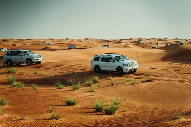 Dubai Desert safari Tour with Live BBQ & Belly Dance Shows - Lahbab: 90 minutes of dunes, speed, and sand