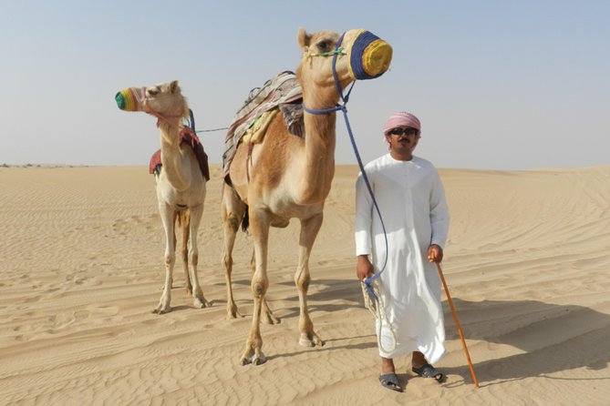 Dubai Desert Safari with BBQ, 3 Shows & Camel Ride at Majlis Camp - ATV upgrade and other optional costs