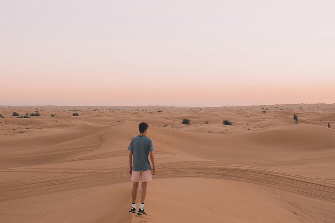 Dubai Desert Safari with BBQ Dinner and Live Shows - Arriving at the camp for tea, snacks, and dinner