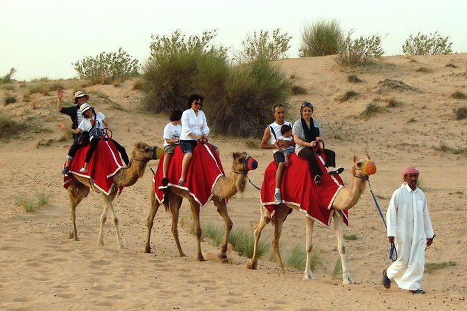 Dubai Desert Safari with BBQ Dinner Pickup from Ras Al Khaimah - BBQ dinner under the stars