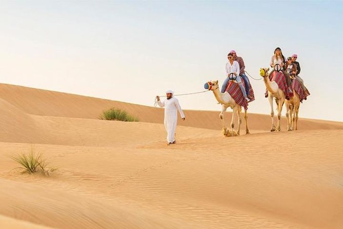 Dubai: Desert Safari with Camel Ride & Dune Bashing - Key points before you book