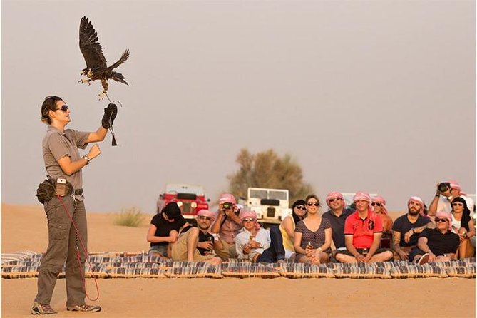 Dubai: Desert Safari with Camel Ride & Dune Bashing - The 40 to 50 minute dune-bashing run
