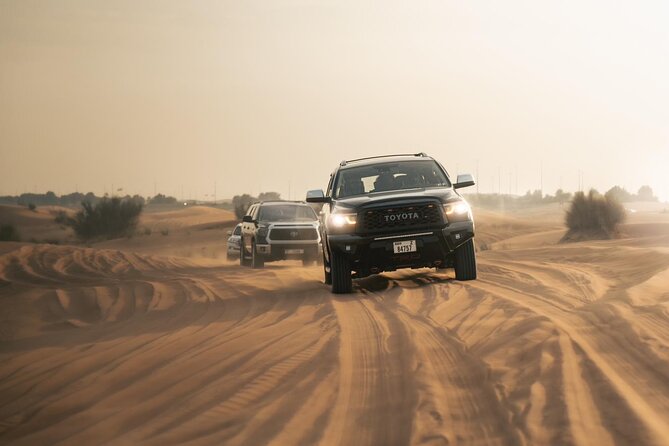 Dubai Desert Safari with Camel Ride, Sand surf, & BBQ Dinner - Twenty minutes for photographs and sandboarding