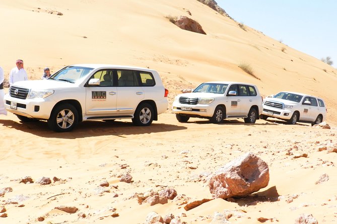 Dubai Desert Safari with Camel Ride, Show, BBQ and Transfers - Three live shows after dark
