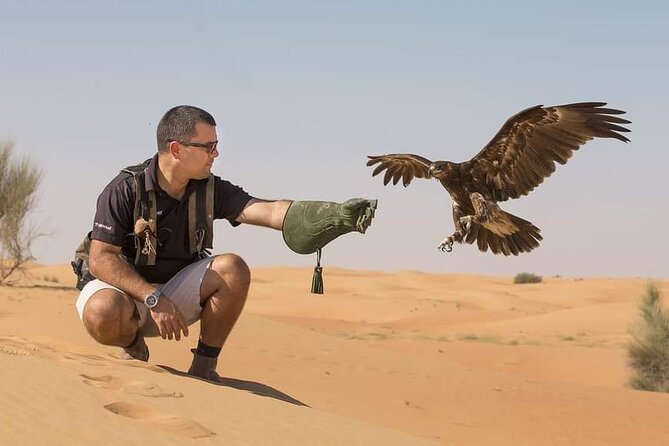 Dubai Desert Safari with Camel Riding and Belly Dance - Buffet dinner, drinks, and the difference between soft drinks and alcohol