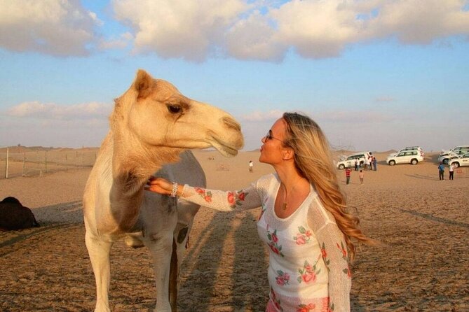 Dubai Desert Safari with Camel Riding, Sand Boarding,BBQ Dinner and 3 Live Shows - Pickup from Dubai and the ride to Al Awir