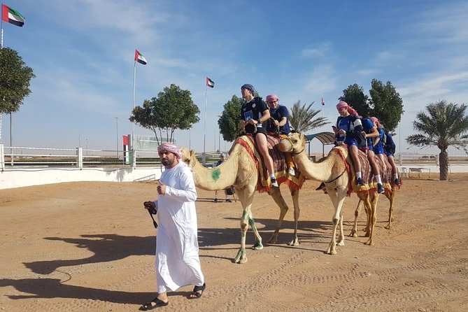 Dubai Desert Safari with Camel Riding, Sand Boarding,BBQ Dinner and 3 Live Shows - How the $97.69 price compares with the experience