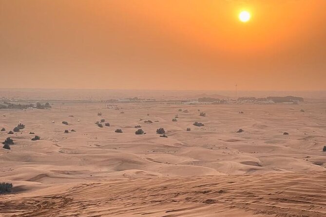 Dubai Desert Safari with Desert Camp Dinner, Camel Ride & Shows - What the Six-Hour Desert Evening Is Really Like