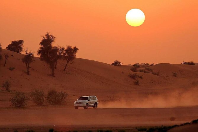 Dubai Desert Safari with Dinner - Ten live shows on two dancing floors