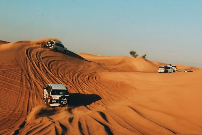 Dubai Desert Safari with Dinner - Optional quad biking changes the price