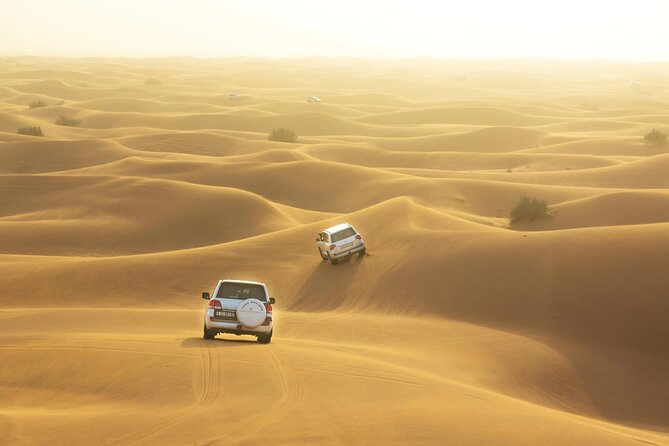 Dubai Desert Safari with Dinner - Service deserves a careful look