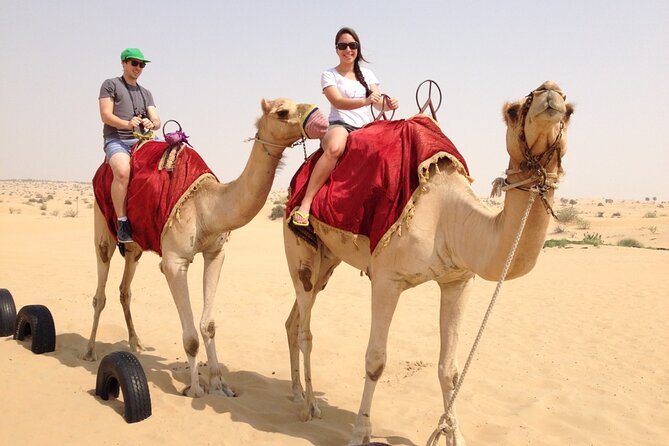 Dubai Desert Safari with Dinner, Camel Ride & Dune Bashing - A sunset stop on a towering dune