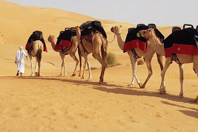 Dubai Desert Safari with Dune Bashing, Camel Ride, & BBQ Dinner - The ride from Dubai to Lahbab