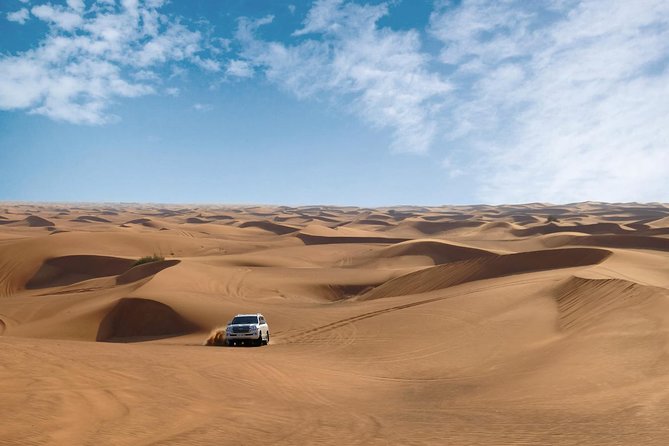 Dubai Desert Safari with Dune Bashing, Camel Rides & BBQ - BBQ dinner under the desert sky
