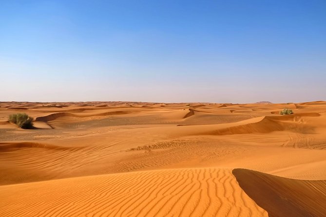 Dubai Desert Safari with Dune Bashing, Camel Rides & BBQ - Thirty minutes of dune bashing
