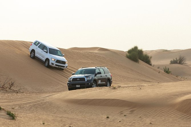 Dubai Desert Safari with Quads, BBQ Dinner, Camel ride, & Shows - Quad biking for ages 13 and above