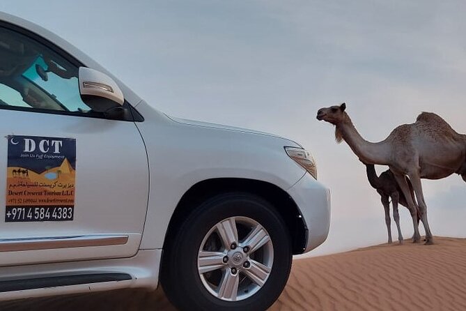 Dubai Desert Safari With Sandboarding & Camel Riding - Camel riding and the visit to the desert camp