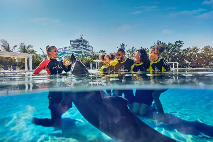 Dubai: Dolphin Encounter & Aquaventure Waterpark Ticket - The 15-minute briefing with the marine mammal team