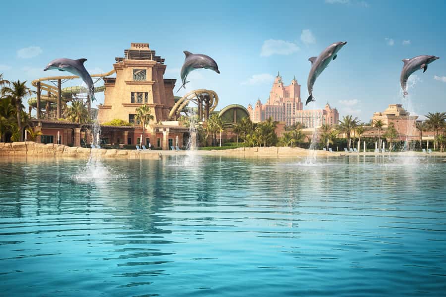 Dubai: Dolphin Encounter & Aquaventure Waterpark Ticket - Thirty minutes in shallow water with a dolphin