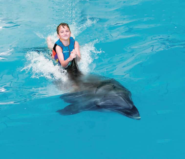Dubai: Dubai Dolphinarium Dolphin, Seal & Bird Show Tickets - The exotic bird show, from parrots to falcons