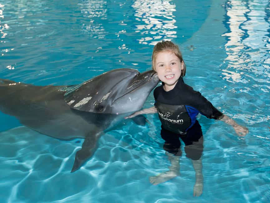 Dubai: Dubai Dolphinarium Dolphin, Seal & Bird Show Tickets - Seating, splashes, and the family experience