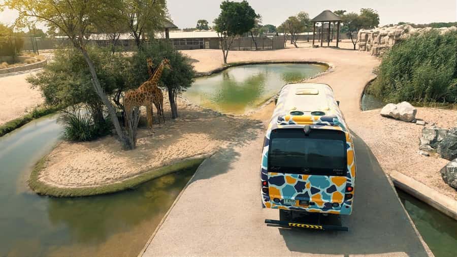 Dubai: Dubai Safari Park Entry Pass - Getting there and managing the timing