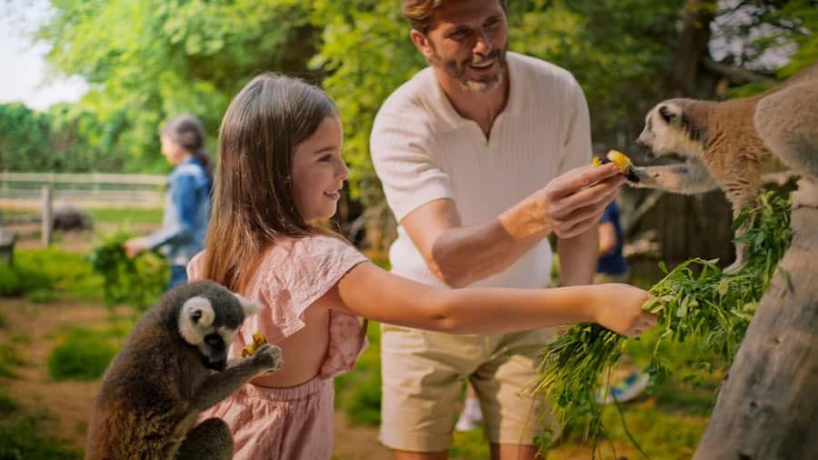 Dubai: Dubai Safari Park Entry Pass - Explorer Village is worth the extra consideration