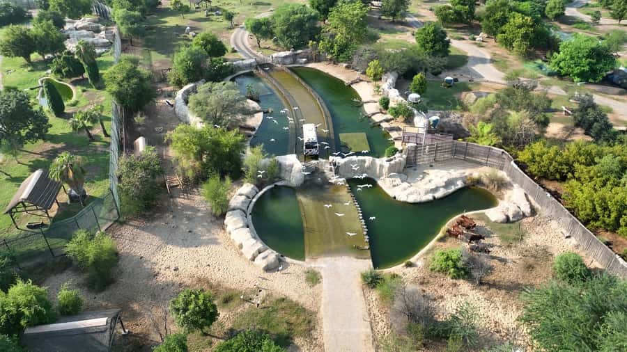 Dubai: Dubai Safari Park Entry Pass - Presentations, talks, and the Grand Aviary