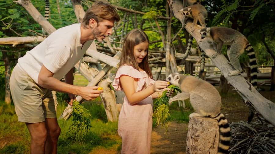 Dubai: Dubai Safari Park Entry Pass - Heat, shade, food, and walking