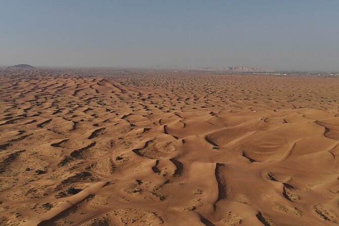 Dubai: Dune Buggy Safari and Camel Ride with Transportation - Meeting John the desert camel