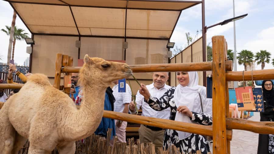 Dubai: Emirati Cultural Experience with Emirati Meal - My verdict on the Heritage Express experience