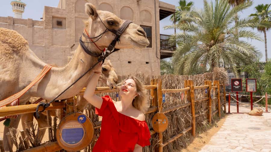 Dubai: Emirati Cultural Experience with Emirati Meal - Timing, comfort, and accessibility