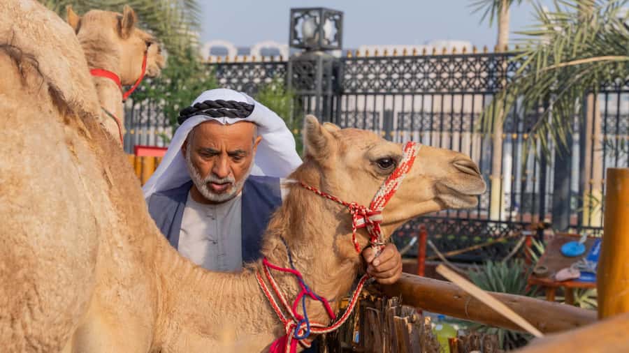 Dubai: Emirati Cultural Experience with Emirati Meal - Riding the Heritage Express trolley through historic Dubai