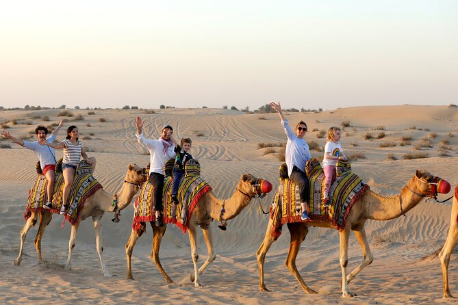 Dubai: Evening Camel Caravan, Bedouin Dinner at Al Marmoom Oasis - A three-course BBQ dinner at the camp