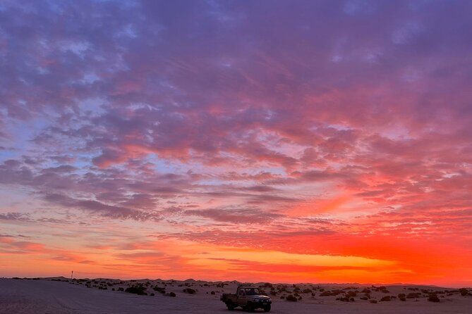 Dubai Evening Desert Safari - What the driver adds to the day