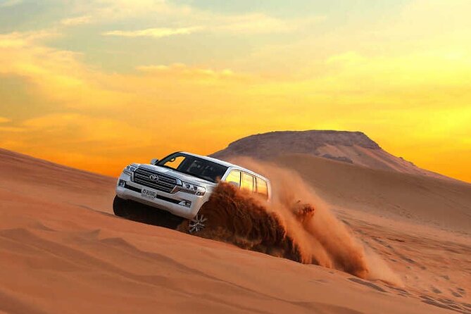 Dubai Evening Desert Safari & BBQ Dinner - The camel ride: traditional atmosphere, limited time