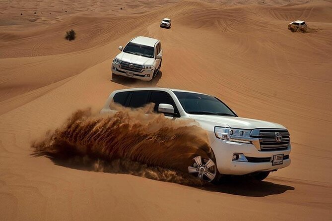Dubai Evening Desert Safari & BBQ Dinner - Families, older adults, and first-time desert visitors